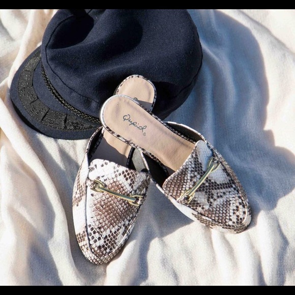 Buckle Down - Picture 1 of 3